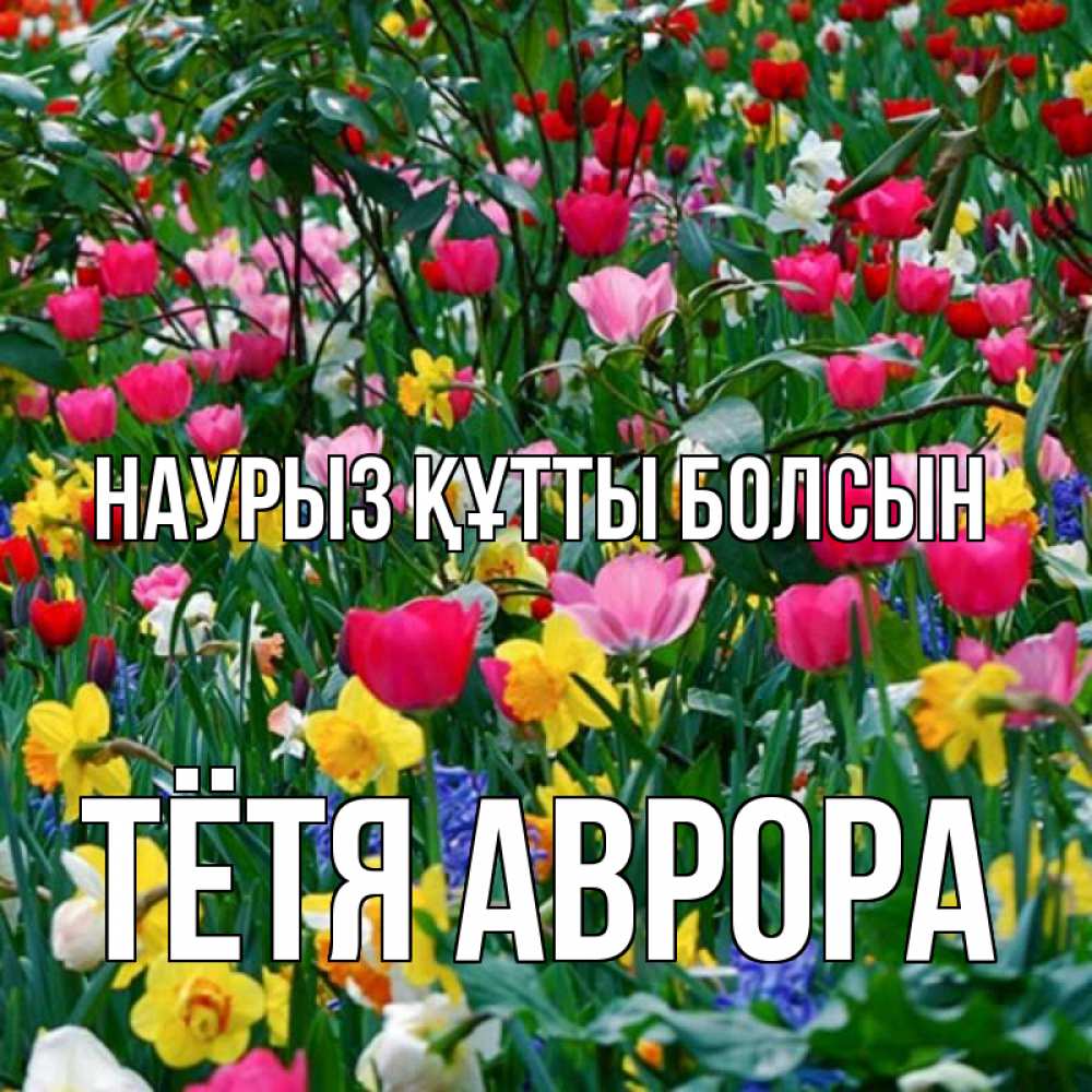 Открытка на каждый день с именем, Тётя-Аврора Наурыз құтты болсын с наурызом поздравления для женщины Прикольная открытка с пожеланием онлайн скачать бесплатно 