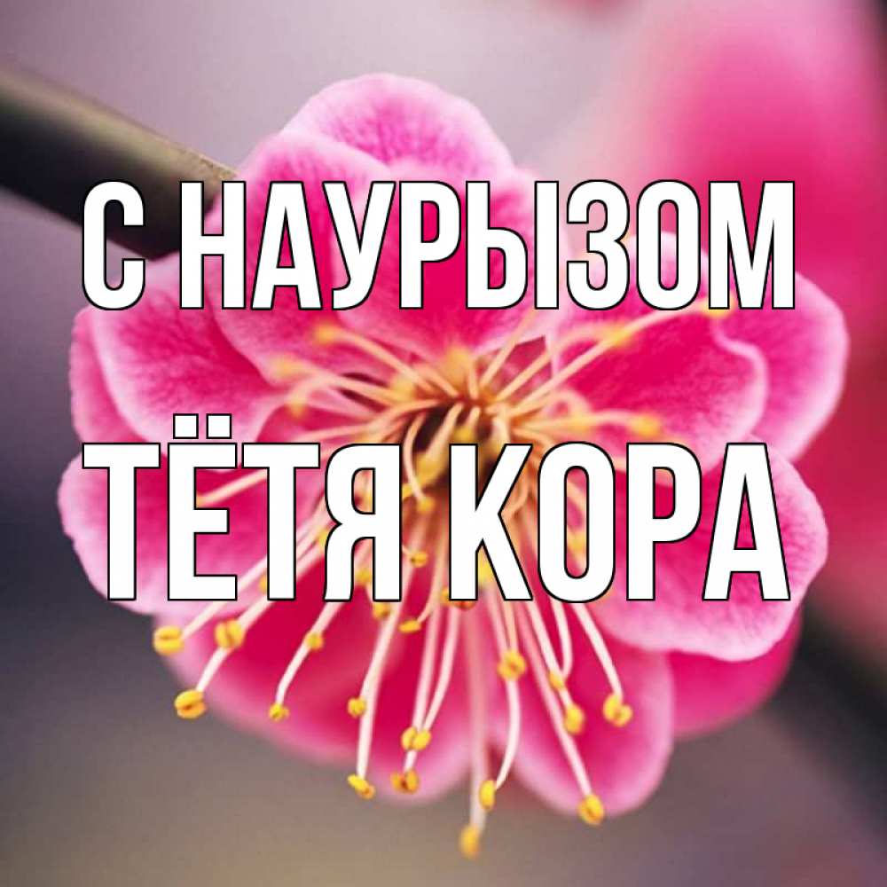 Открытка на каждый день с именем, Тётя-Кора С наурызом цветы Прикольная открытка с пожеланием онлайн скачать бесплатно 