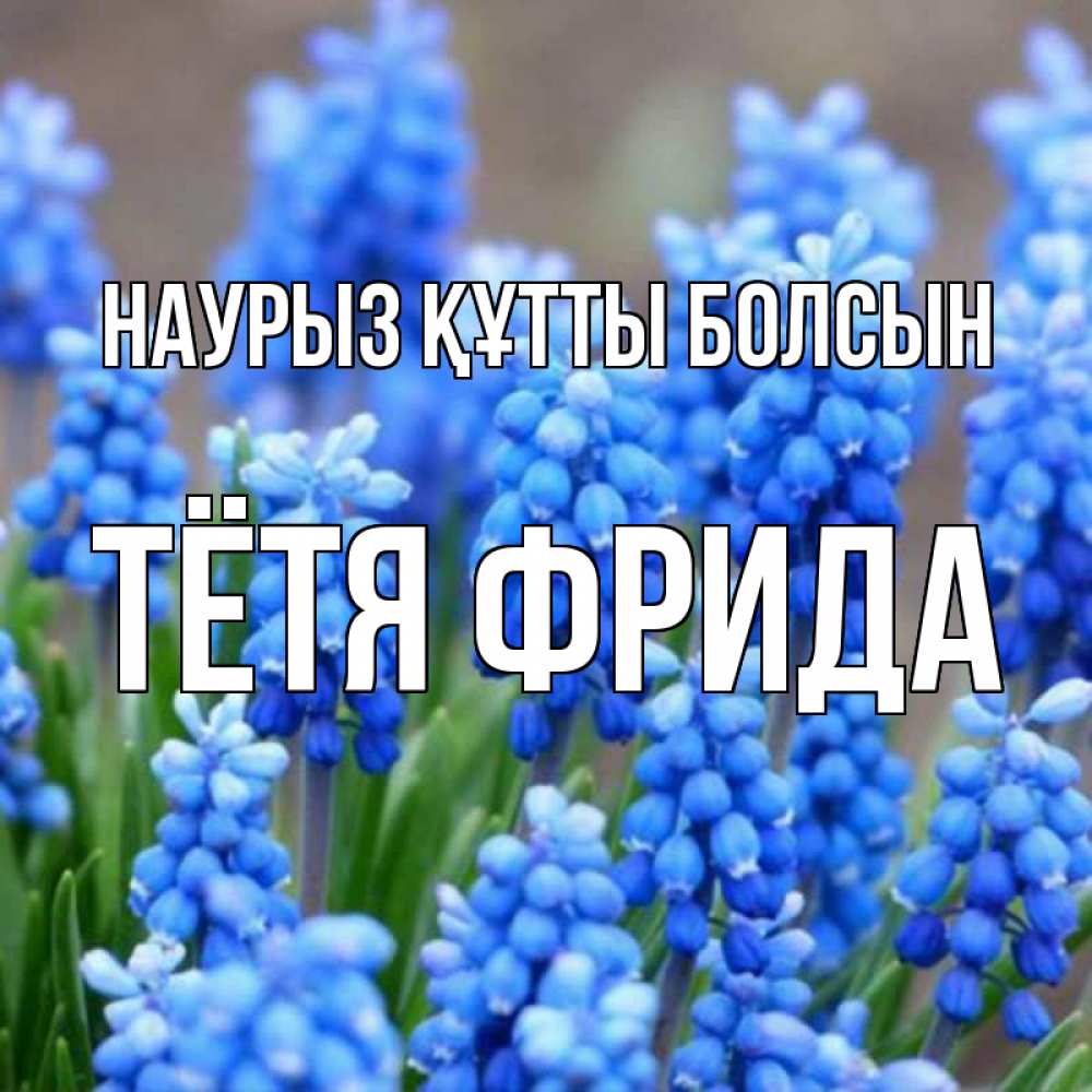 Открытка на каждый день с именем, Тётя-Фрида Наурыз құтты болсын Поздравительная открытка для женщин с цветами на праздничную дату Прикольная открытка с пожеланием онлайн скачать бесплатно 
