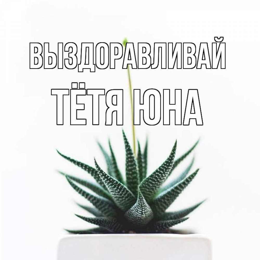 Открытка на каждый день с именем, Тётя-Юна Выздоравливай короче это непонятная колючка Прикольная открытка с пожеланием онлайн скачать бесплатно 