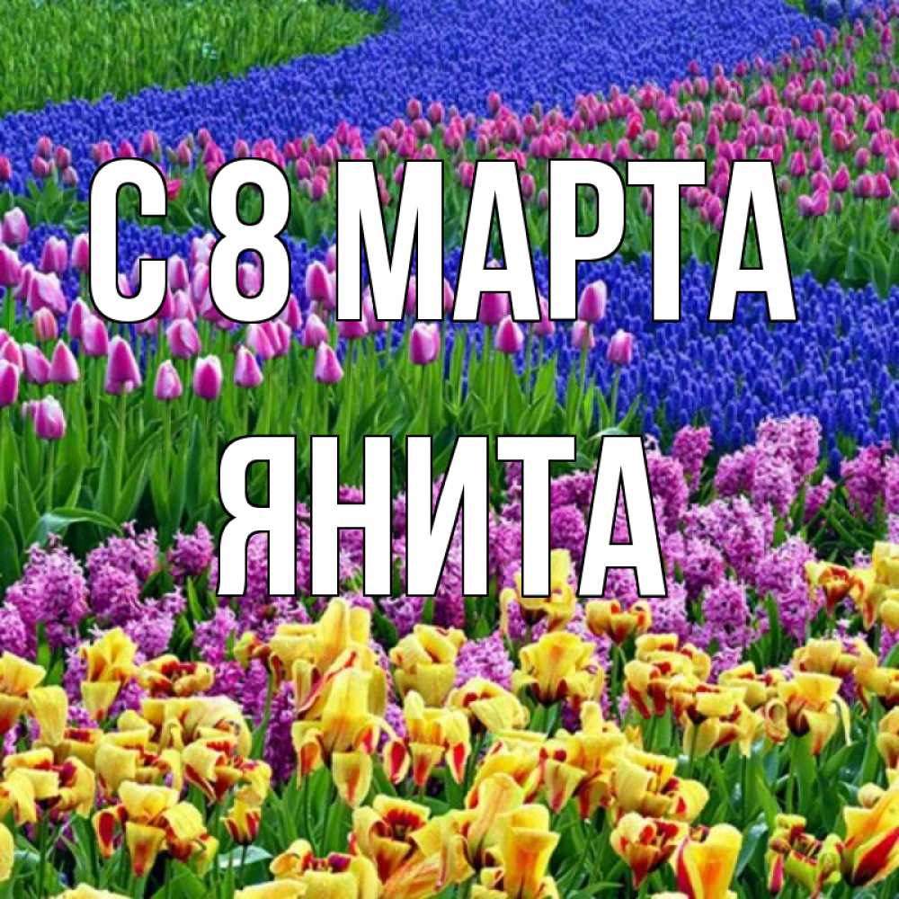 Открытка на каждый день с именем, Янита С 8 марта цветы Прикольная открытка с пожеланием онлайн скачать бесплатно 