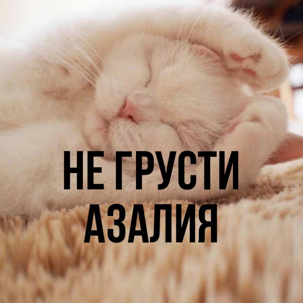 Открытка на каждый день с именем, Азалия Не грусти Котенок спит Прикольная открытка с пожеланием онлайн скачать бесплатно 