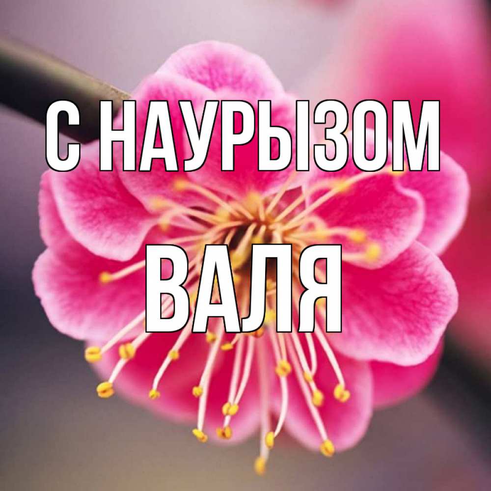 Открытка на каждый день с именем, Валя С наурызом цветы Прикольная открытка с пожеланием онлайн скачать бесплатно 
