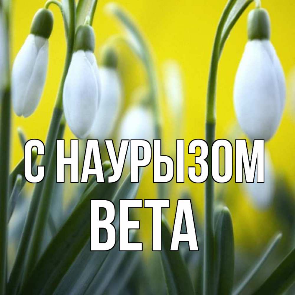 Открытка на каждый день с именем, Вета С наурызом весенние цветы Прикольная открытка с пожеланием онлайн скачать бесплатно 