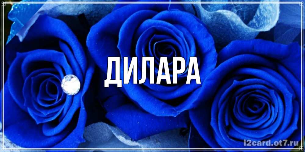 Открытка на каждый день с именем, Дилара Главная синие розы в росе Прикольная открытка с пожеланием онлайн скачать бесплатно 