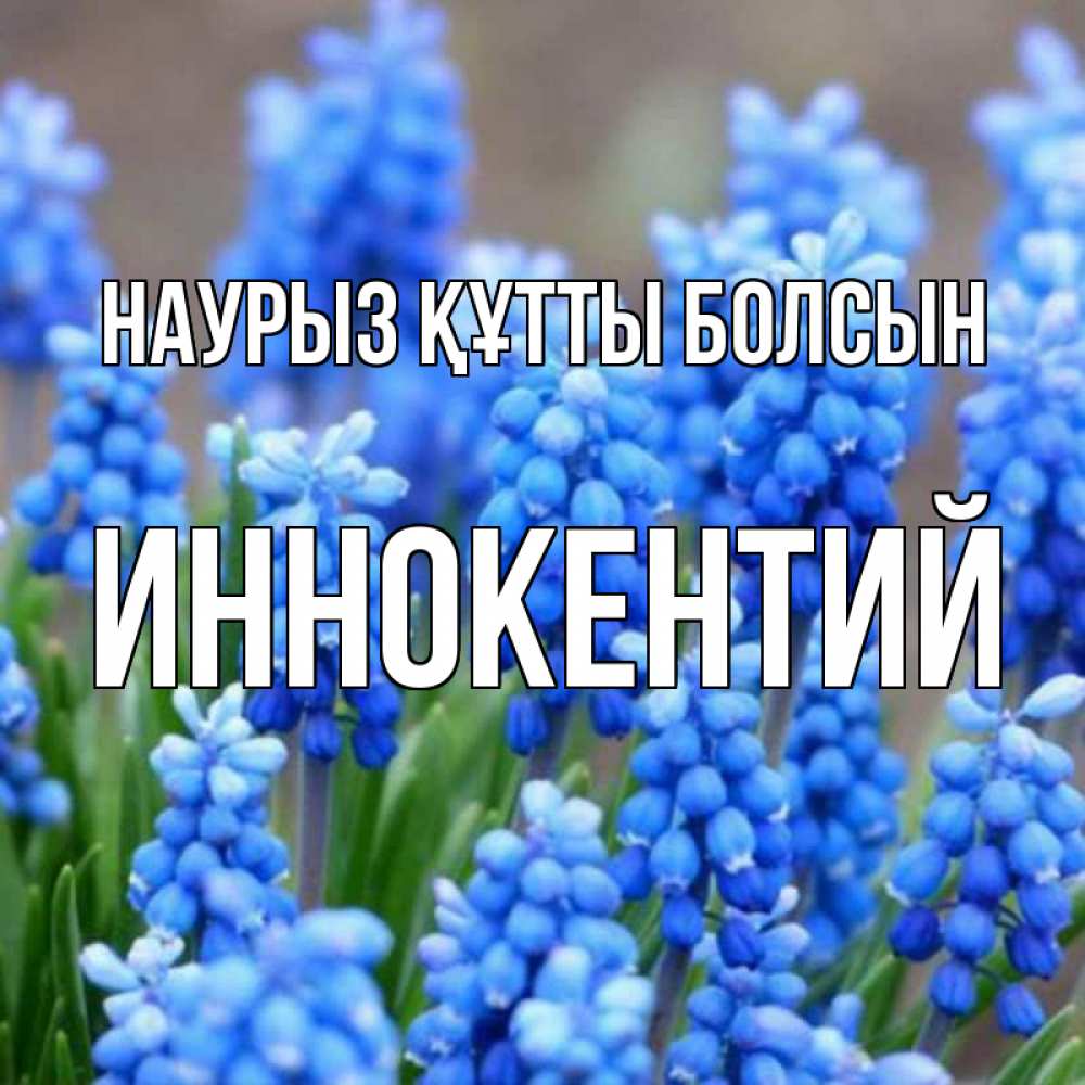 Открытка на каждый день с именем, Иннокентий Наурыз құтты болсын Поздравительная открытка для женщин с цветами на праздничную дату Прикольная открытка с пожеланием онлайн скачать бесплатно 
