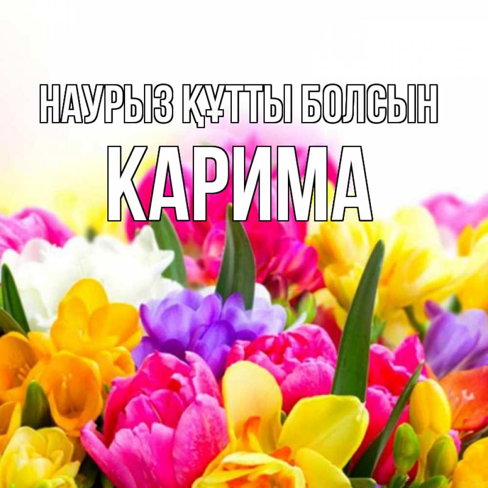 Открытка на каждый день с именем, Карима Наурыз құтты болсын тюльпаны Прикольная открытка с пожеланием онлайн скачать бесплатно 