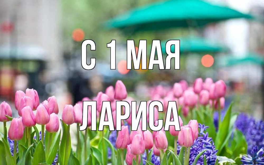 Открытка на каждый день с именем, Лариса С 1 мая С 1 мая Прикольная открытка с пожеланием онлайн скачать бесплатно 