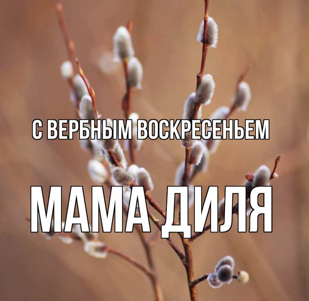 Открытка на каждый день с именем, Мама-Диля С вербным воскресеньем верба Прикольная открытка с пожеланием онлайн скачать бесплатно 
