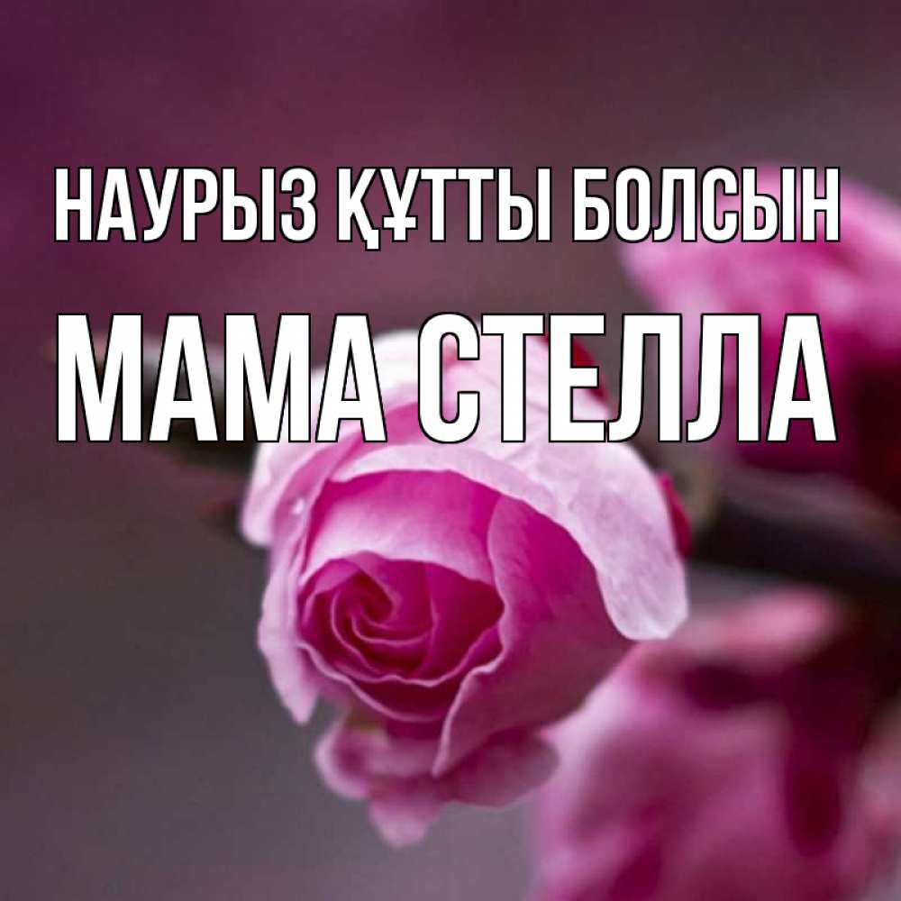 Открытка на каждый день с именем, Мама-Стелла Наурыз құтты болсын весна Прикольная открытка с пожеланием онлайн скачать бесплатно 
