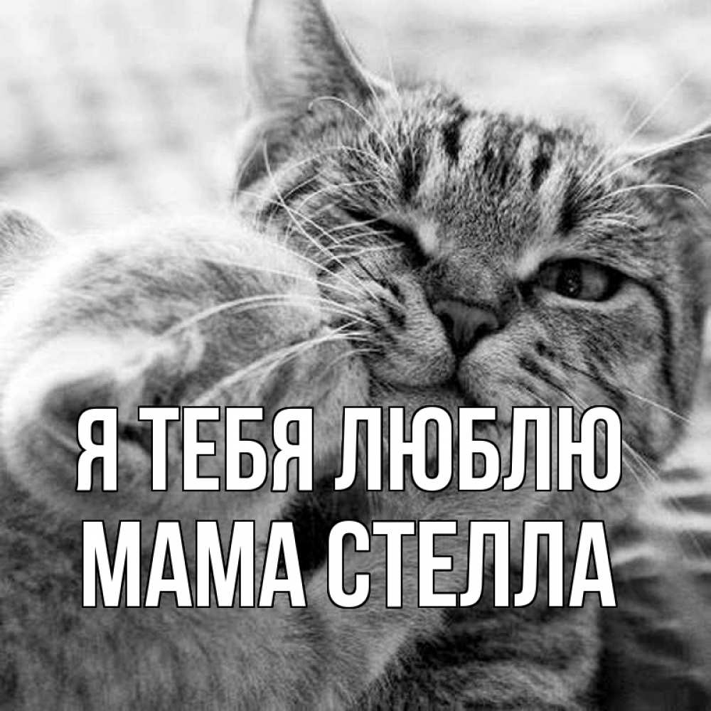 Открытка на каждый день с именем, Мама-Стелла Я тебя люблю коты Прикольная открытка с пожеланием онлайн скачать бесплатно 