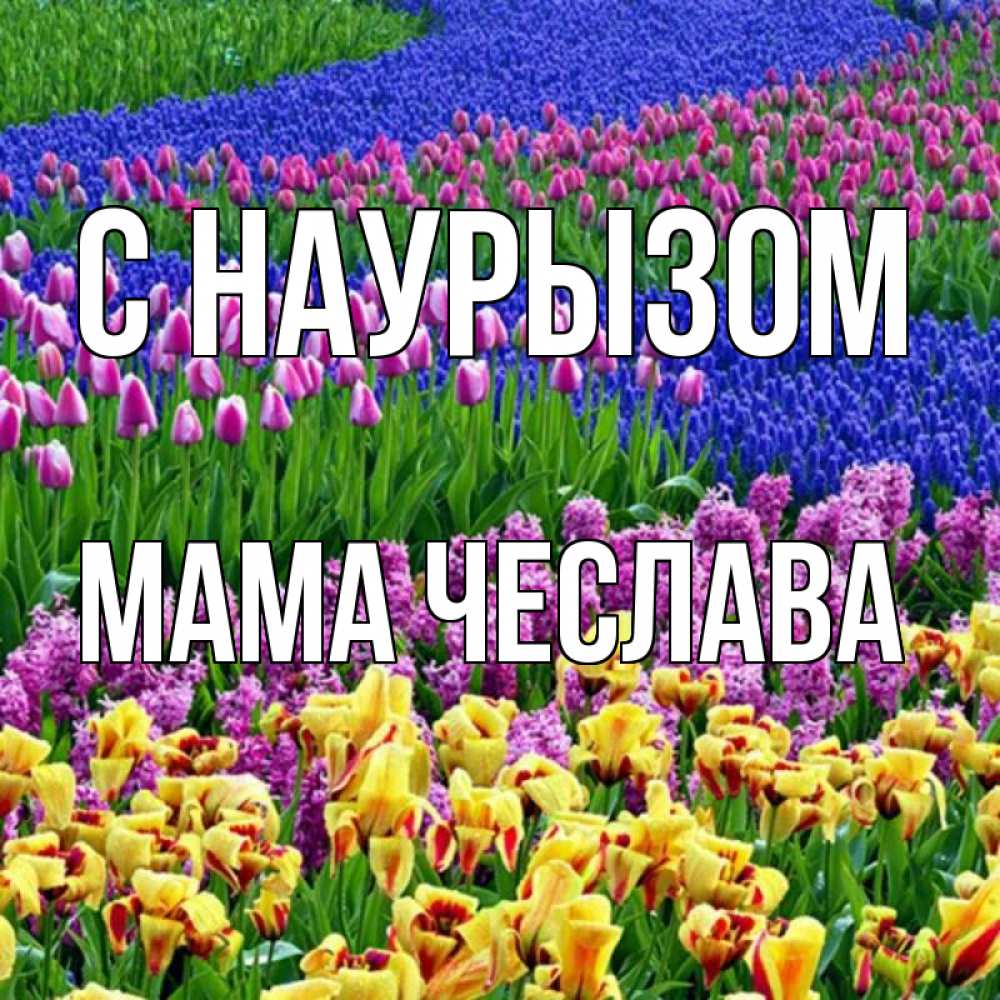 Открытка на каждый день с именем, Мама-Чеслава С наурызом цветы Прикольная открытка с пожеланием онлайн скачать бесплатно 