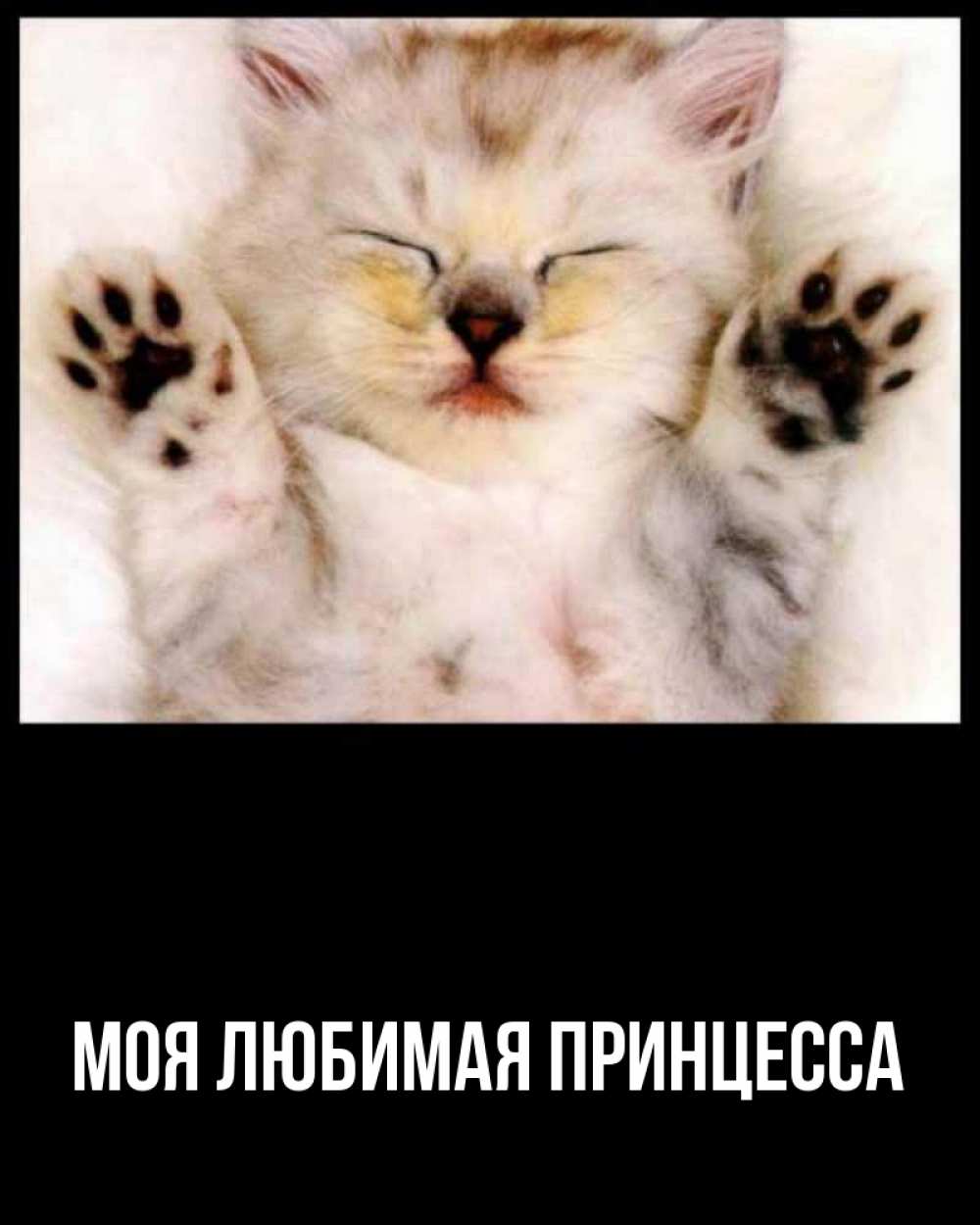 Открытка на каждый день с именем, Моя-Любимая-Принцесса Главная маленький котенок Прикольная открытка с пожеланием онлайн скачать бесплатно 