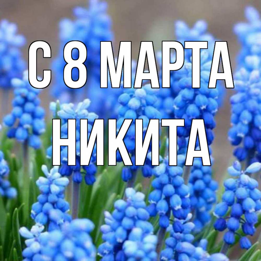 Открытка на каждый день с именем, Никита С 8 МАРТА Поздравительная открытка для женщин с цветами на праздничную дату Прикольная открытка с пожеланием онлайн скачать бесплатно 