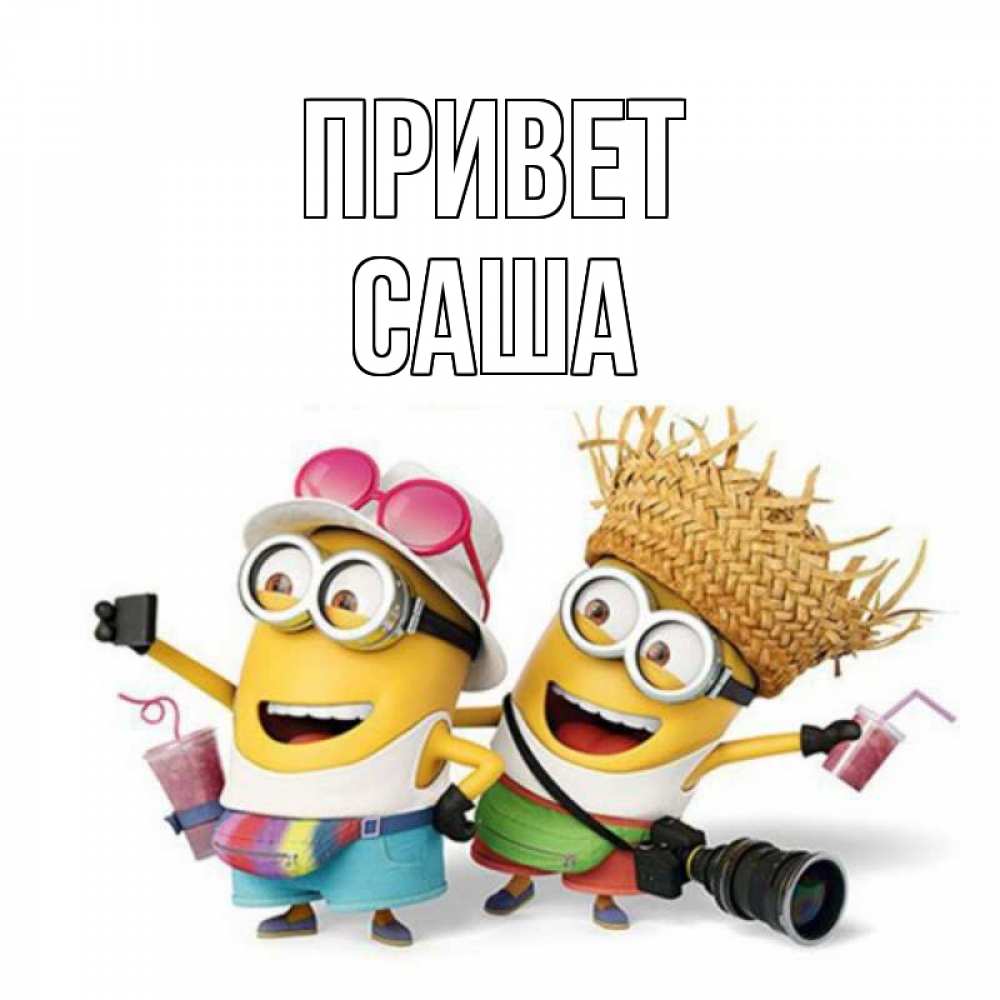 Открытка на каждый день с именем, Саша Привет привет от желтеньких Прикольная открытка с пожеланием онлайн скачать бесплатно 