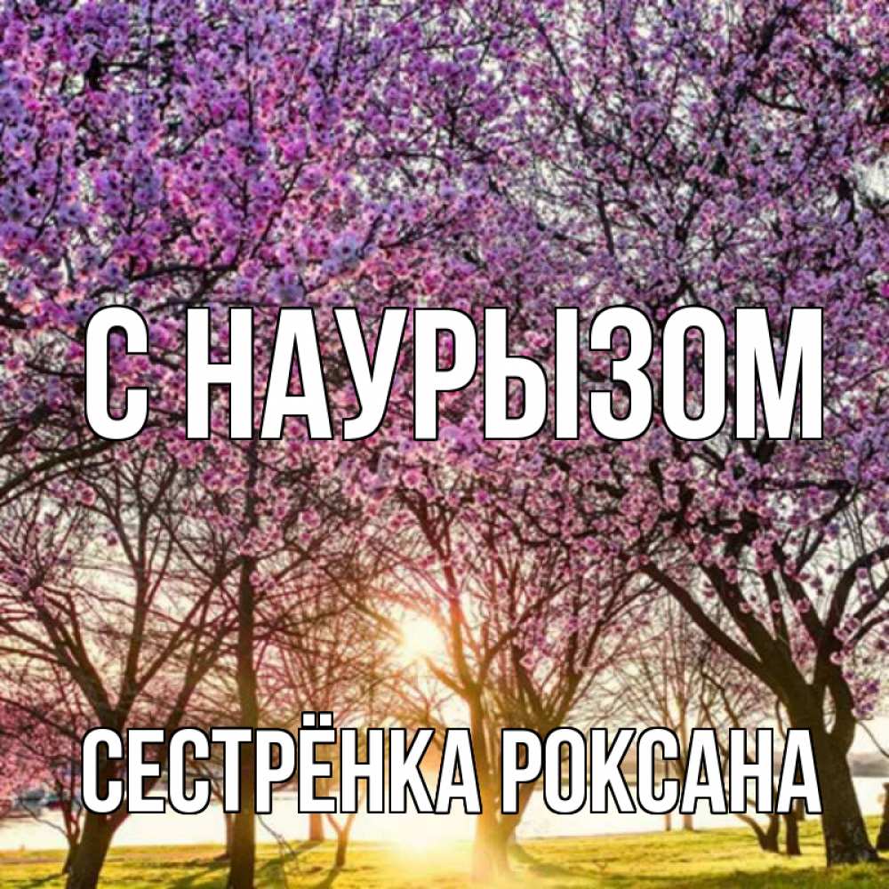 Открытка на каждый день с именем, Сестрёнка-Роксана С наурызом праздник весны наурыз Прикольная открытка с пожеланием онлайн скачать бесплатно 