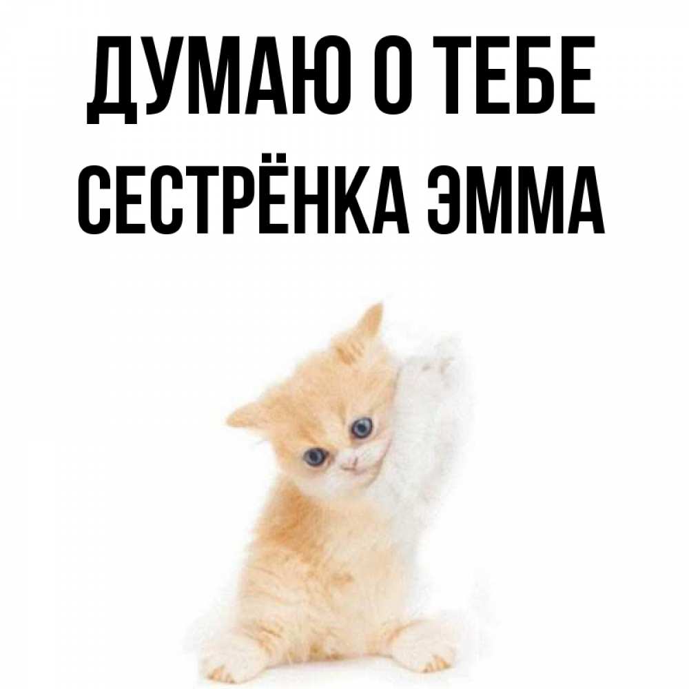 Открытка на каждый день с именем, Сестрёнка-Эмма Думаю о тебе зверушки и милота Прикольная открытка с пожеланием онлайн скачать бесплатно 