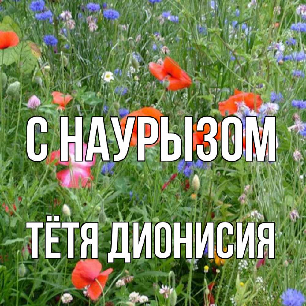 Открытка на каждый день с именем, Тётя-Дионисия С наурызом праздник весны наурыз супер открытка Прикольная открытка с пожеланием онлайн скачать бесплатно 