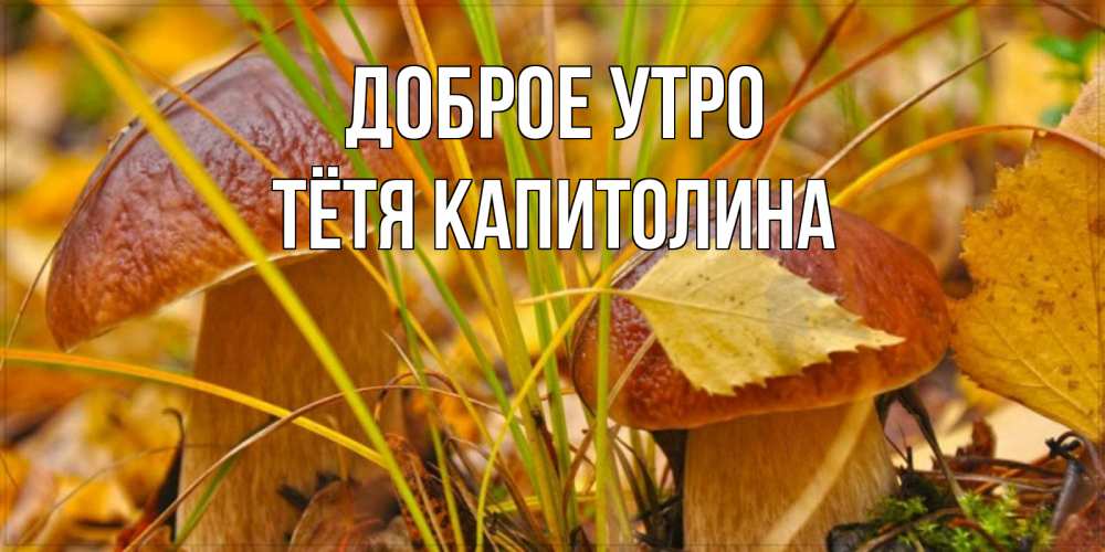 Открытка на каждый день с именем, Тётя-Капитолина Доброе утро осенние грибы Прикольная открытка с пожеланием онлайн скачать бесплатно 