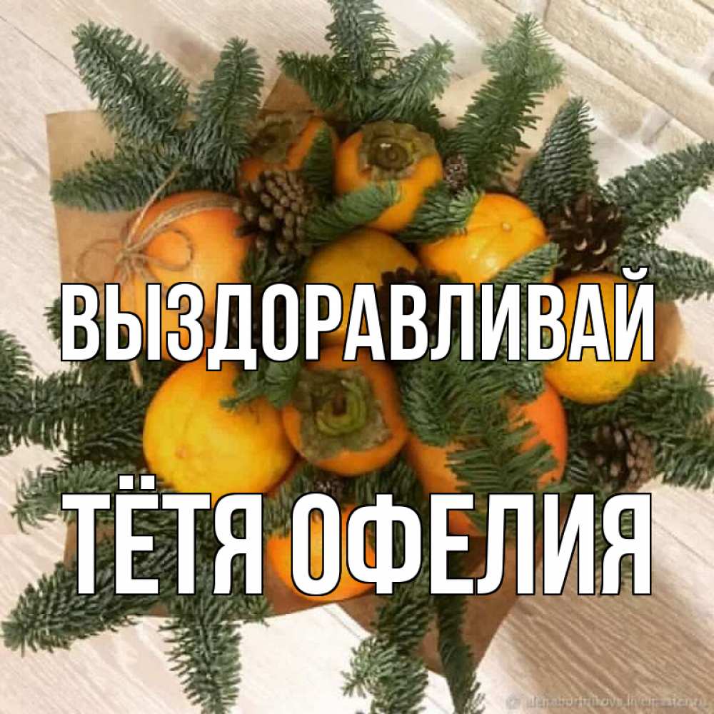 Открытка на каждый день с именем, Тётя-Офелия Выздоравливай апельсины и хурьма Прикольная открытка с пожеланием онлайн скачать бесплатно 