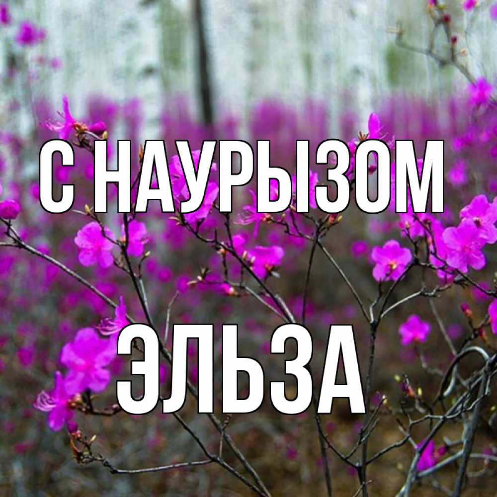 Открытка на каждый день с именем, Эльза С наурызом дикие цветы Прикольная открытка с пожеланием онлайн скачать бесплатно 