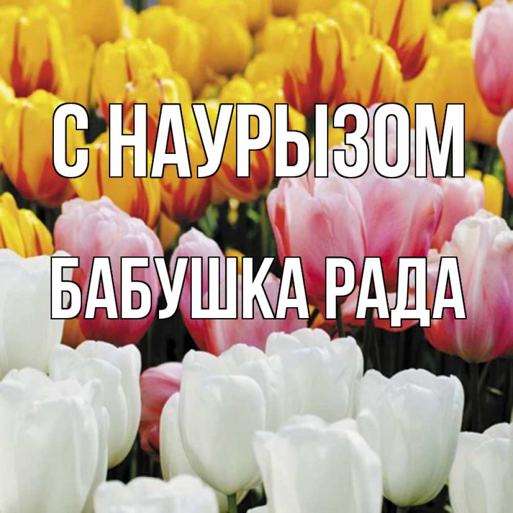 Открытка на каждый день с именем, Бабушка-Рада С наурызом разноцветные цветы Прикольная открытка с пожеланием онлайн скачать бесплатно 