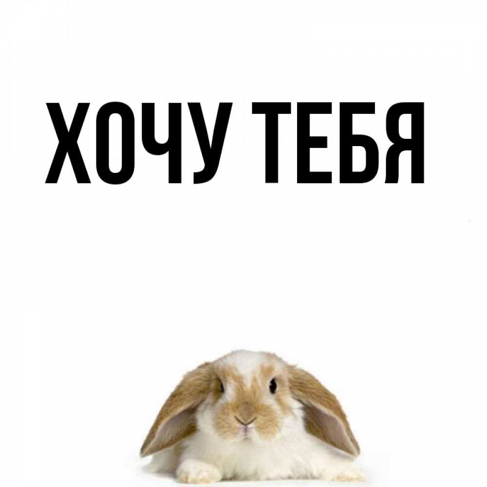 Открытка на каждый день с именем, Хочу-тебя Главная подписать своими руками онлайн Прикольная открытка с пожеланием онлайн скачать бесплатно 