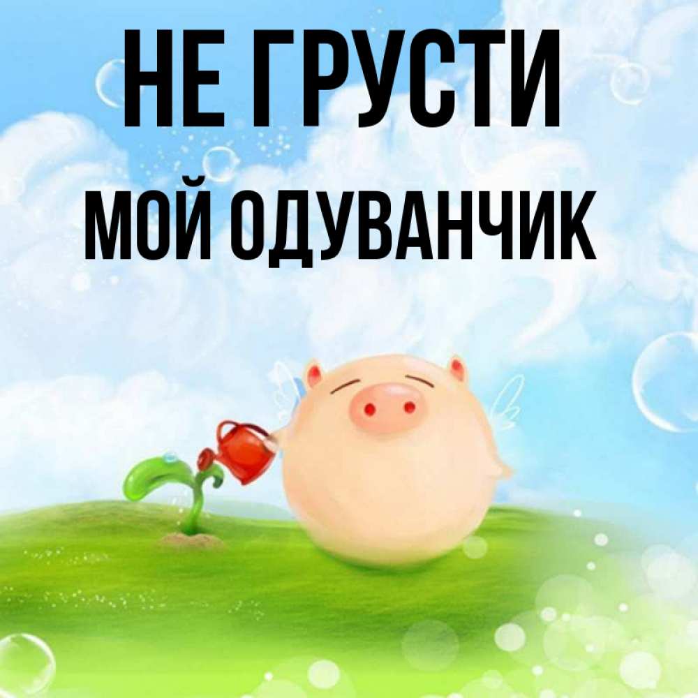 Не грусти милая моя. Не грусти милая. Не грусти милый друг. Милая картинка не грусти. Смайлик одуванчик