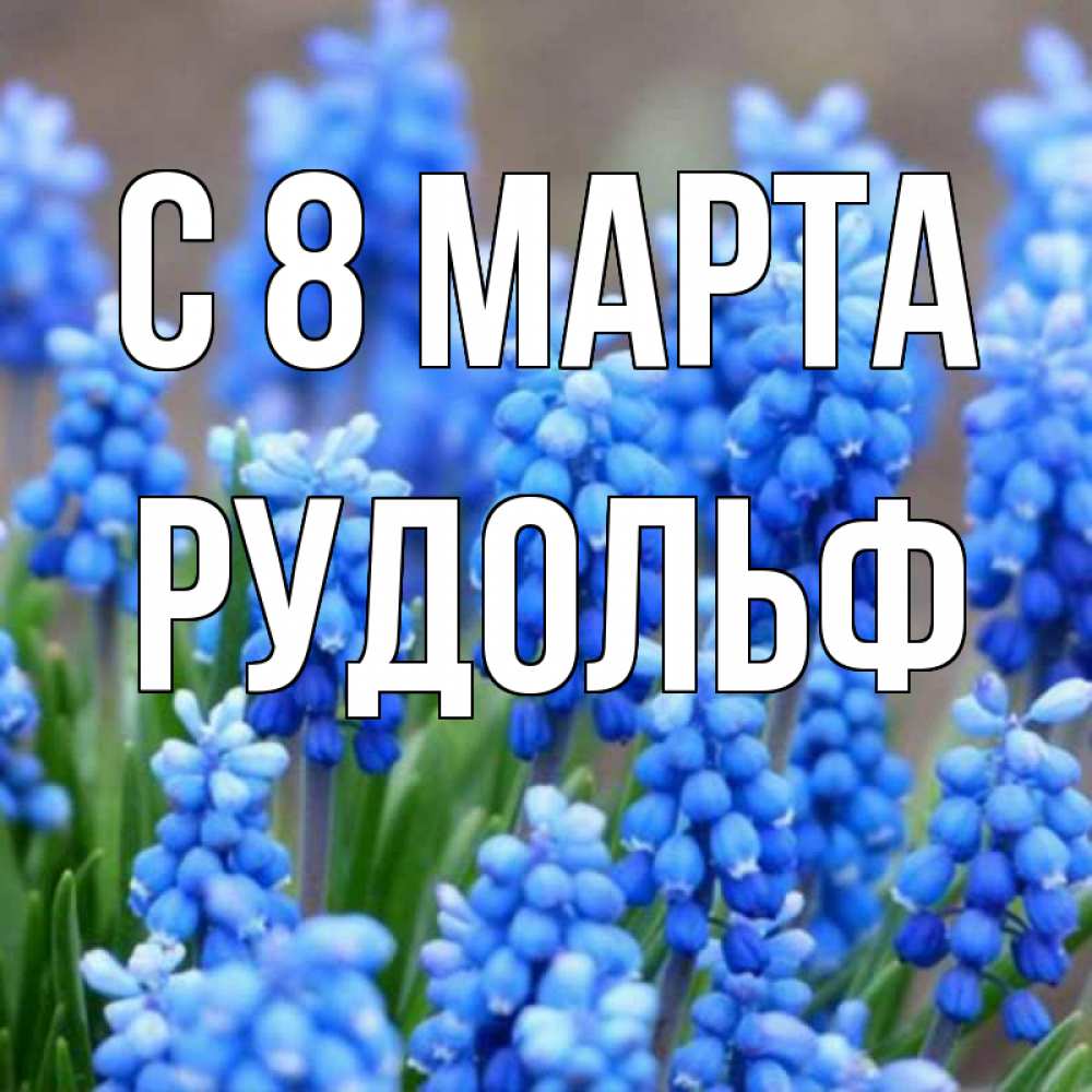 Открытка на каждый день с именем, Рудольф С 8 МАРТА Поздравительная открытка для женщин с цветами на праздничную дату Прикольная открытка с пожеланием онлайн скачать бесплатно 