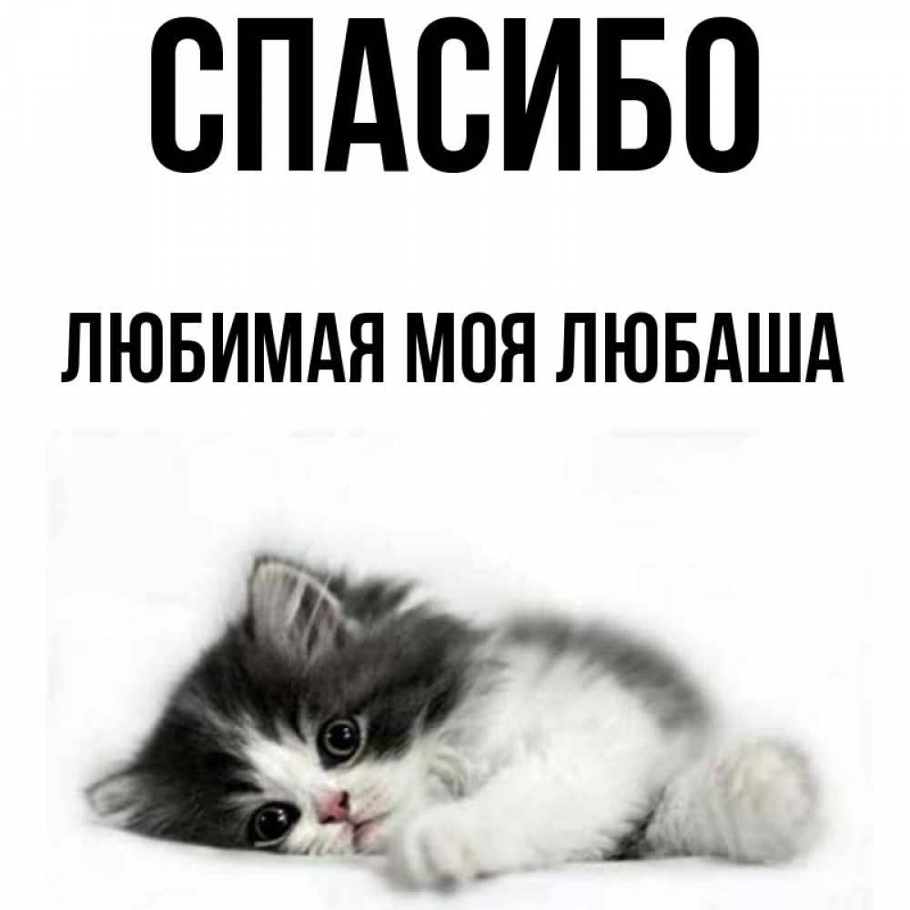 Спасибо любаша картинки