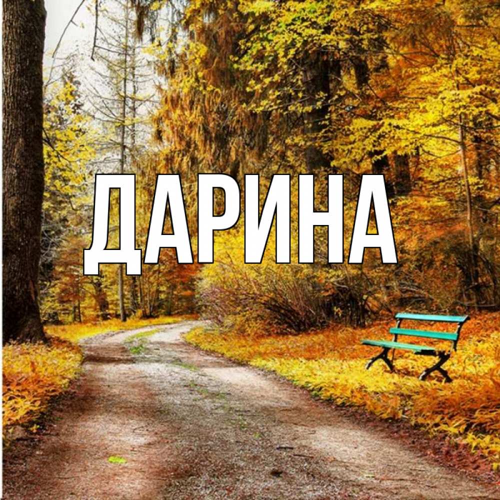 Открытка на каждый день с именем, Дарина Главная зеленая лавочка и осенний лес Прикольная открытка с пожеланием онлайн скачать бесплатно 