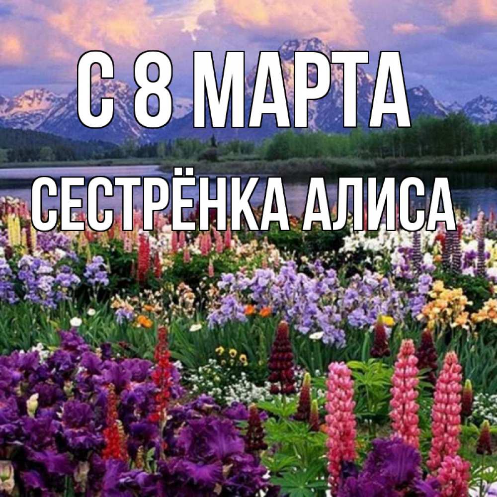 Открытка на каждый день с именем, Сестрёнка-Алиса С 8 МАРТА международный женский день Прикольная открытка с пожеланием онлайн скачать бесплатно 