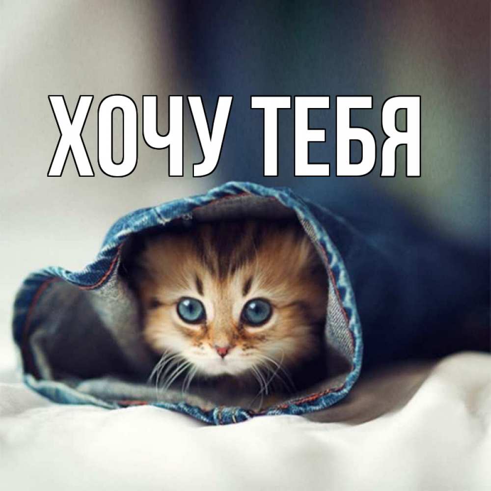 Картинка  с именем , Хочу тебя