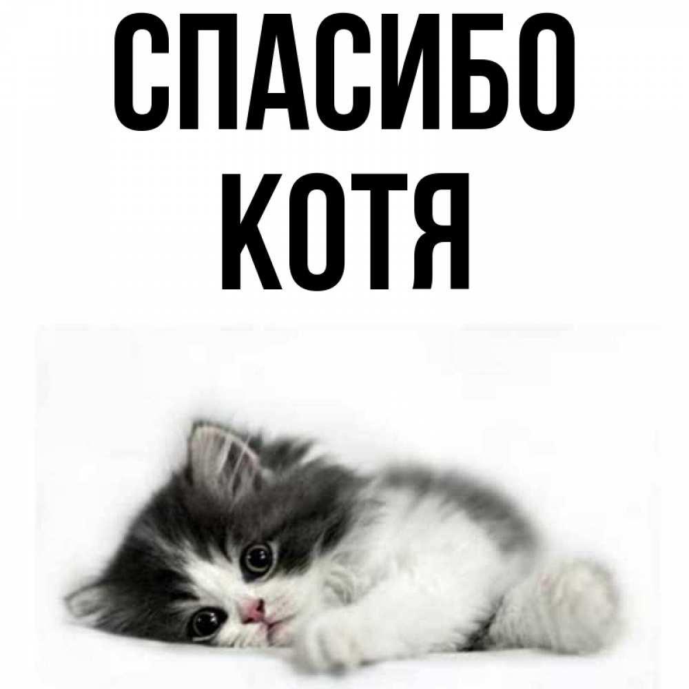 Котя имя