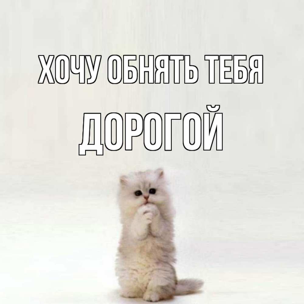 Своими, открытки я по тебе скучаю хочу быть рядом