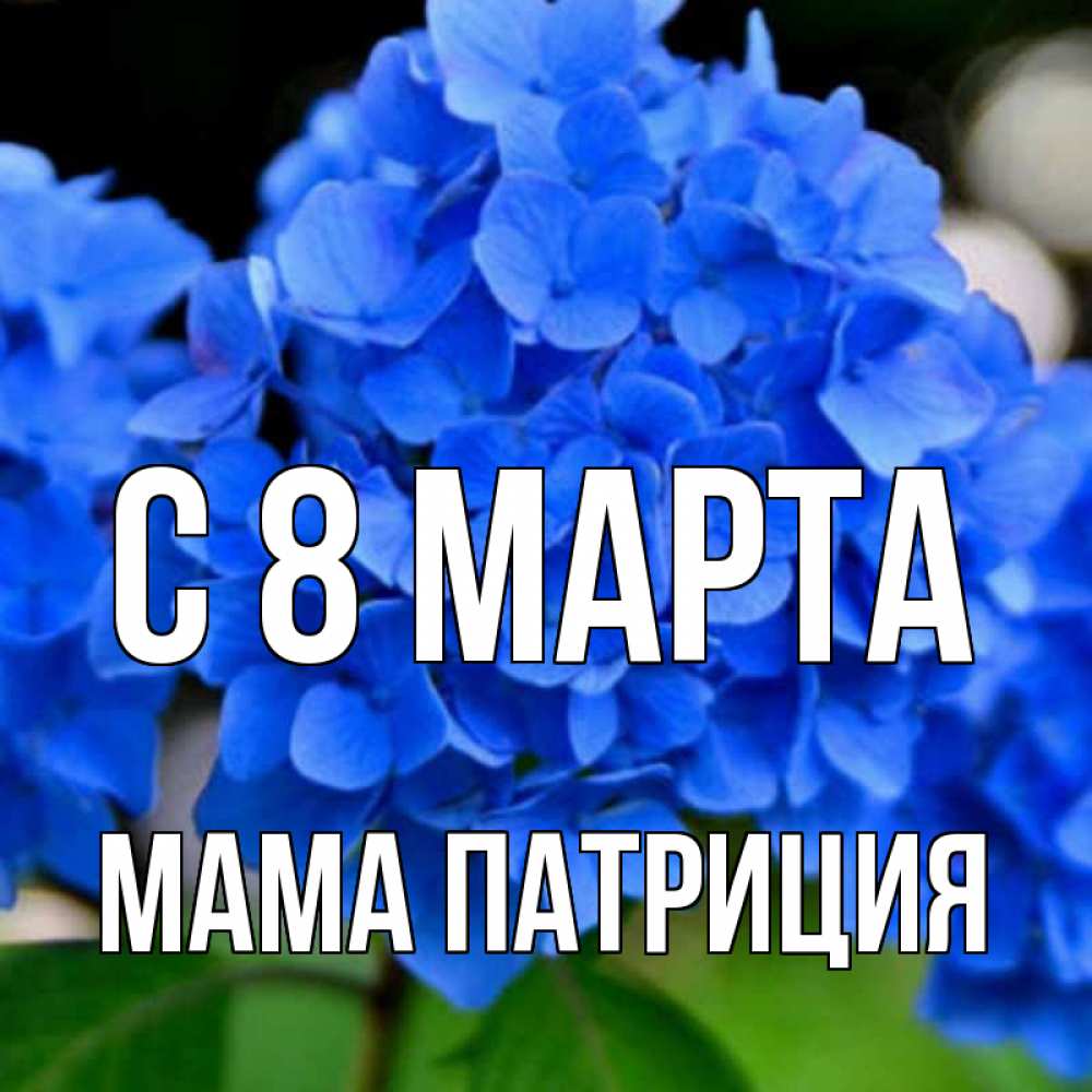 Открытка на каждый день с именем, Мама-Патриция С 8 МАРТА синие цветы Прикольная открытка с пожеланием онлайн скачать бесплатно 