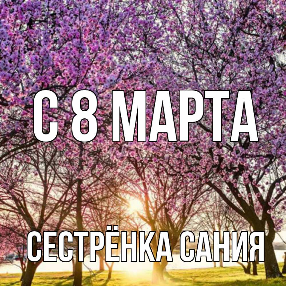 Открытка на каждый день с именем, Сестрёнка-Сания С 8 марта международный женский день Прикольная открытка с пожеланием онлайн скачать бесплатно 