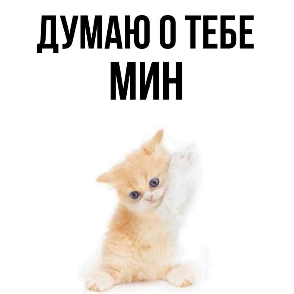 Мина имя