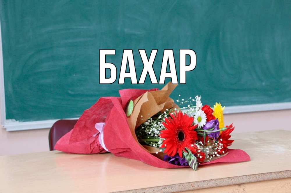 Открытка на каждый день с именем, Бахар Главная школа с днем учителя Прикольная открытка с пожеланием онлайн скачать бесплатно 