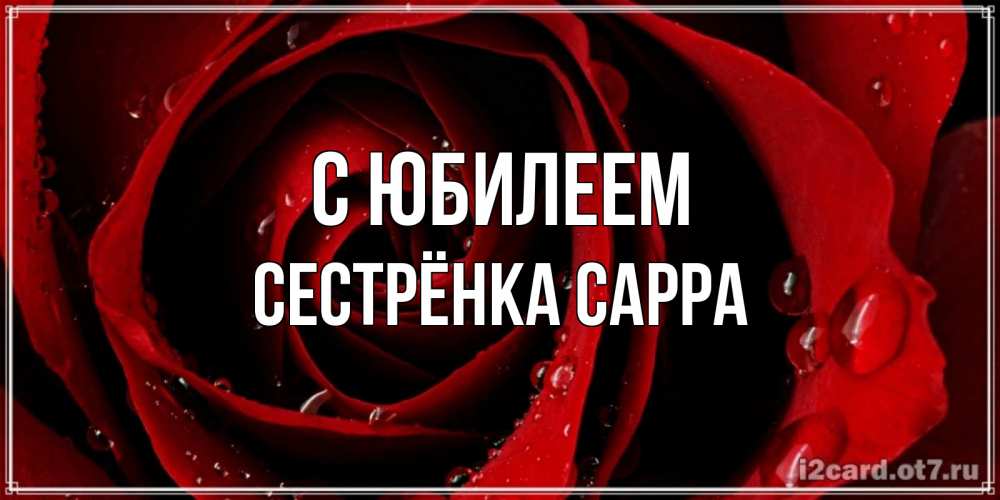 Открытка на каждый день с именем, Сестрёнка-Сарра С юбилеем крупная бордовая роза Прикольная открытка с пожеланием онлайн скачать бесплатно 