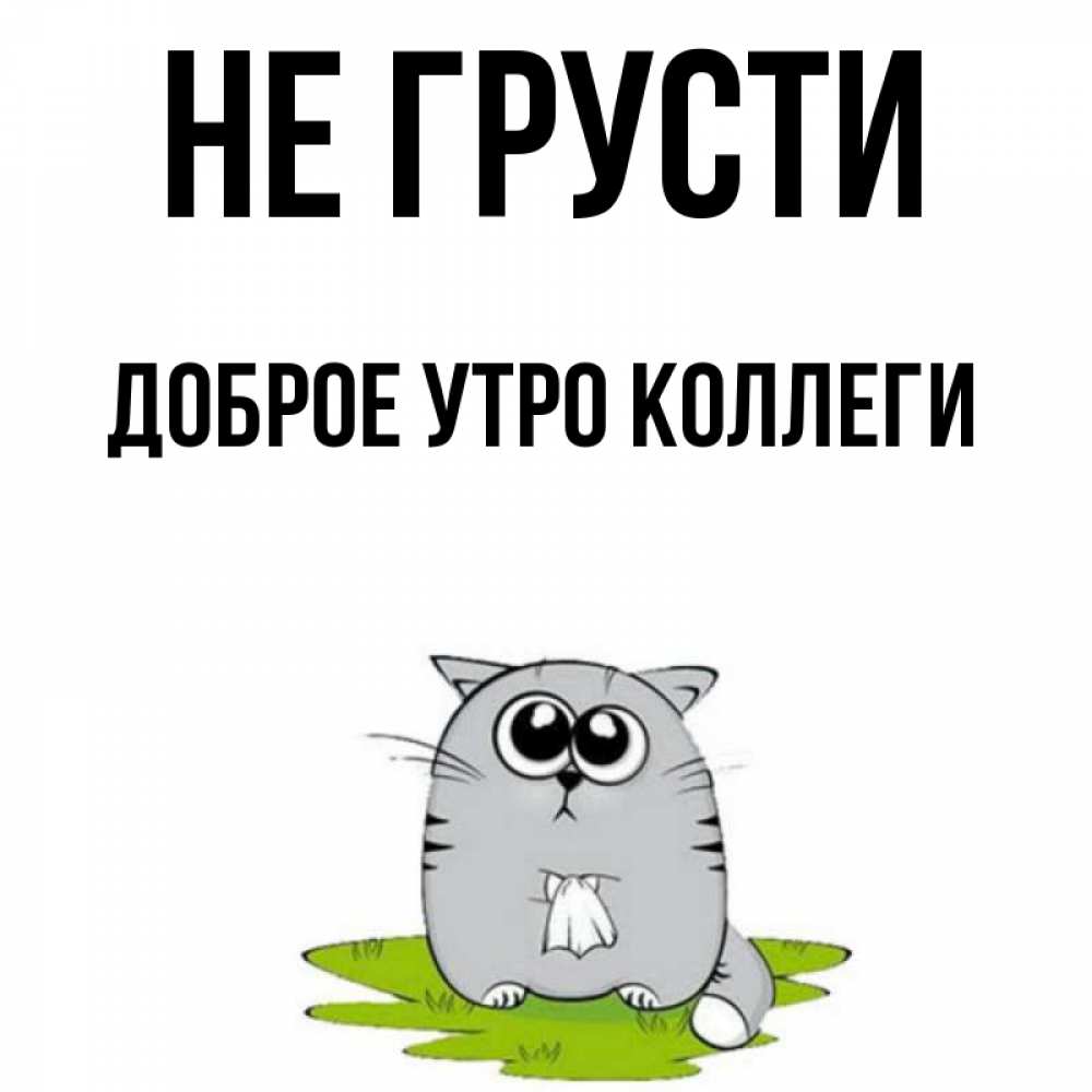 Утро коллега