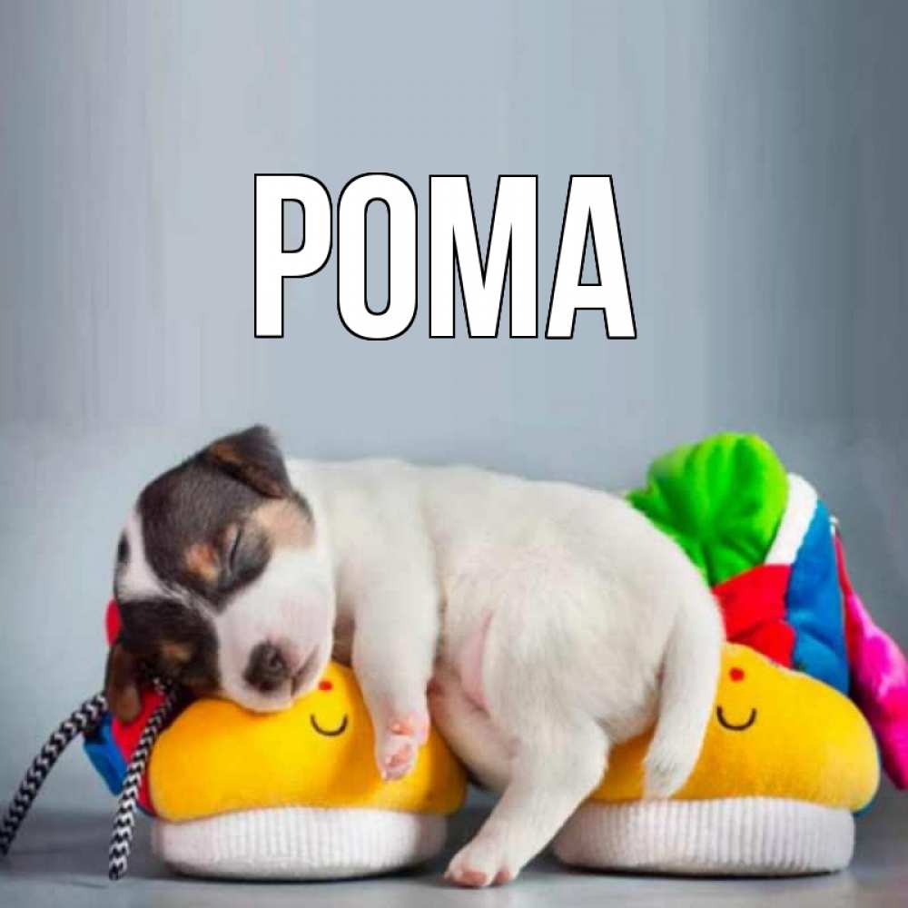 Открытка на каждый день с именем, Рома Главная собачка Прикольная открытка с пожеланием онлайн скачать бесплатно 