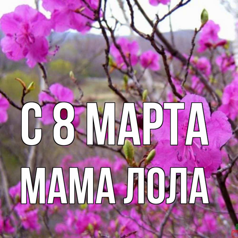 Картинка С 8 МАРТА, Мама Лола