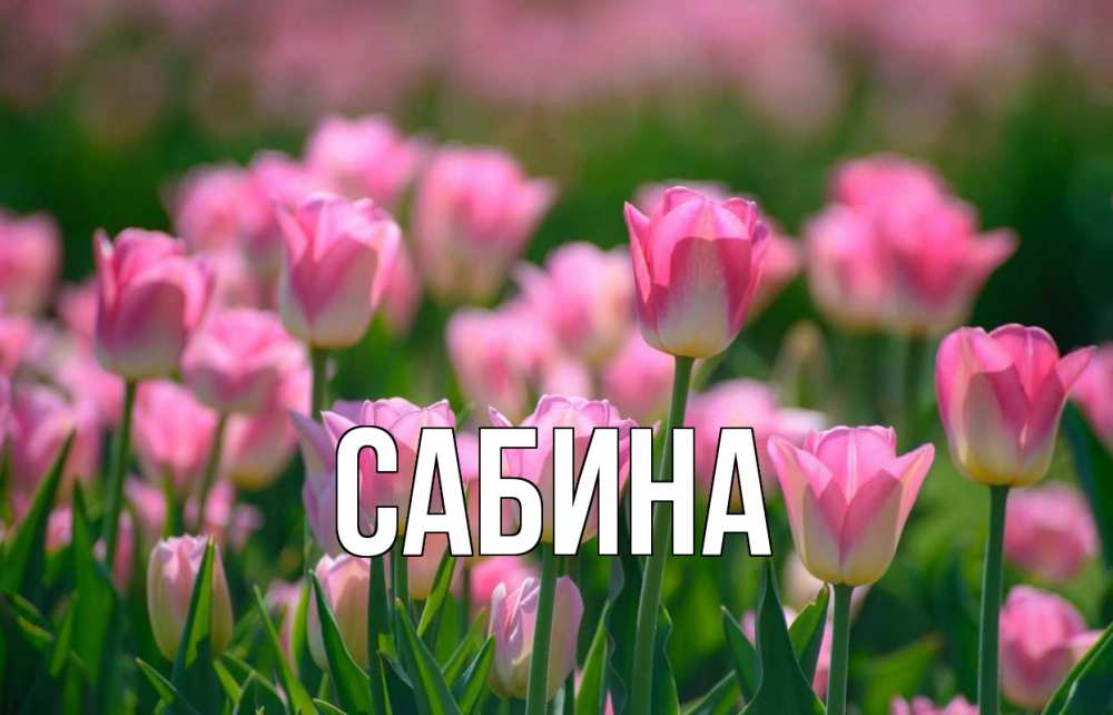 Открытка на каждый день с именем, Сабина Главная С 1 мая Прикольная открытка с пожеланием онлайн скачать бесплатно 