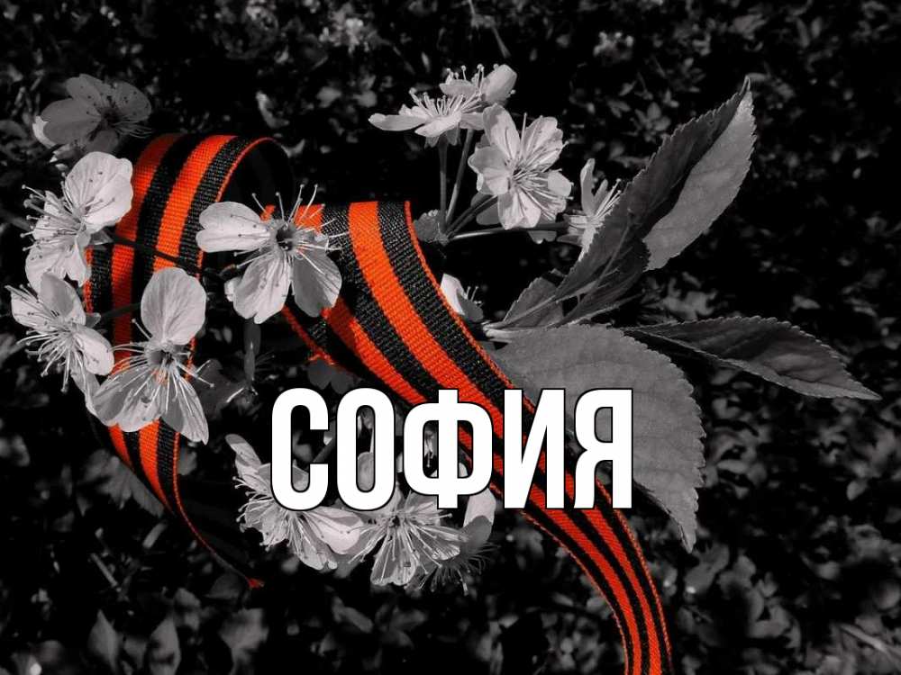 Открытка на каждый день с именем, София Главная 9 мая Прикольная открытка с пожеланием онлайн скачать бесплатно 