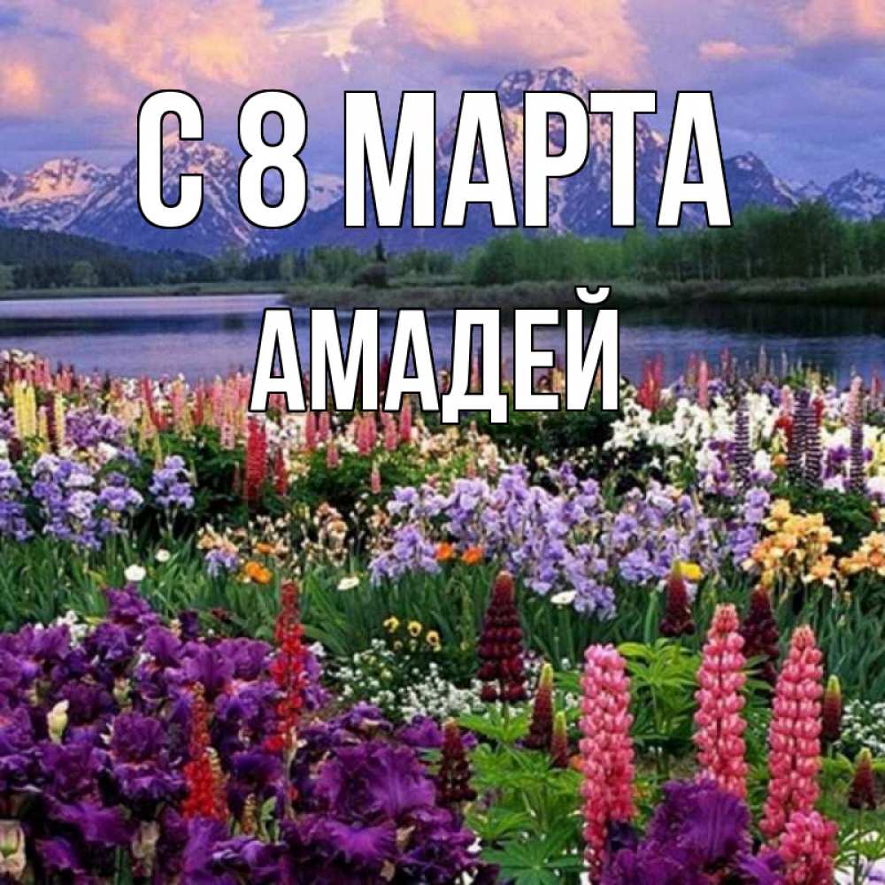 Открытка на каждый день с именем, Амадей С 8 МАРТА международный женский день Прикольная открытка с пожеланием онлайн скачать бесплатно 