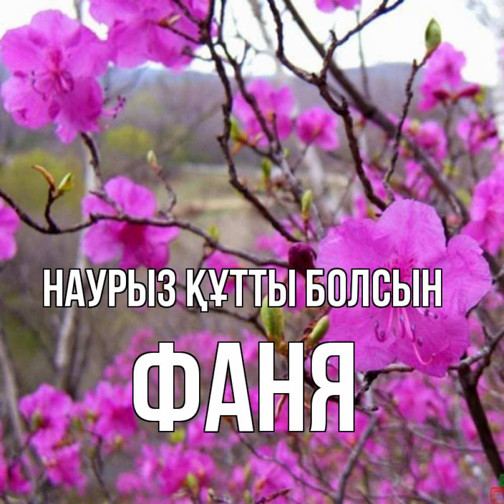 Открытка на каждый день с именем, Фаня Наурыз құтты болсын наурыз мейрамы кутты болсын Прикольная открытка с пожеланием онлайн скачать бесплатно 
