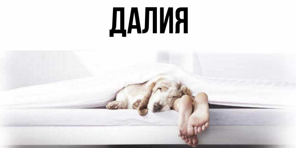 Картинка  с именем , Далия