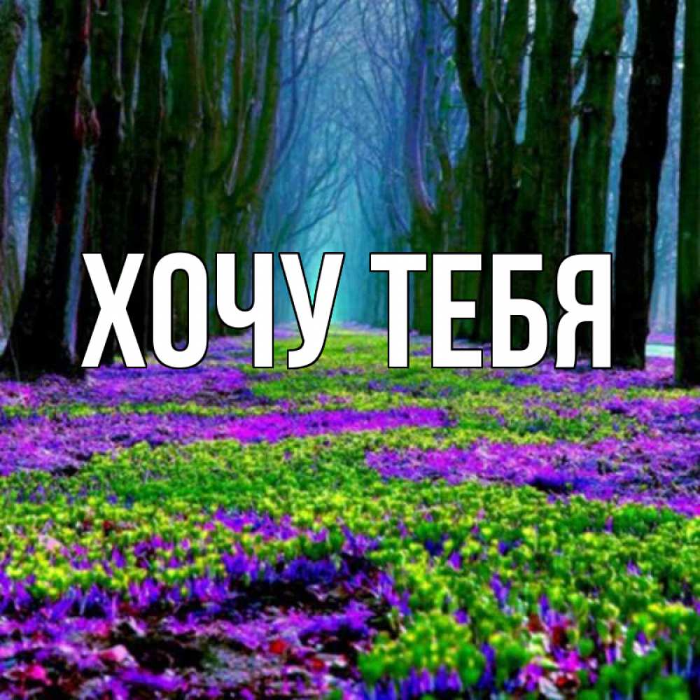 Открытка на каждый день с именем, Хочу-тебя Главная фиолетовые цветы в лесу 1 Прикольная открытка с пожеланием онлайн скачать бесплатно 