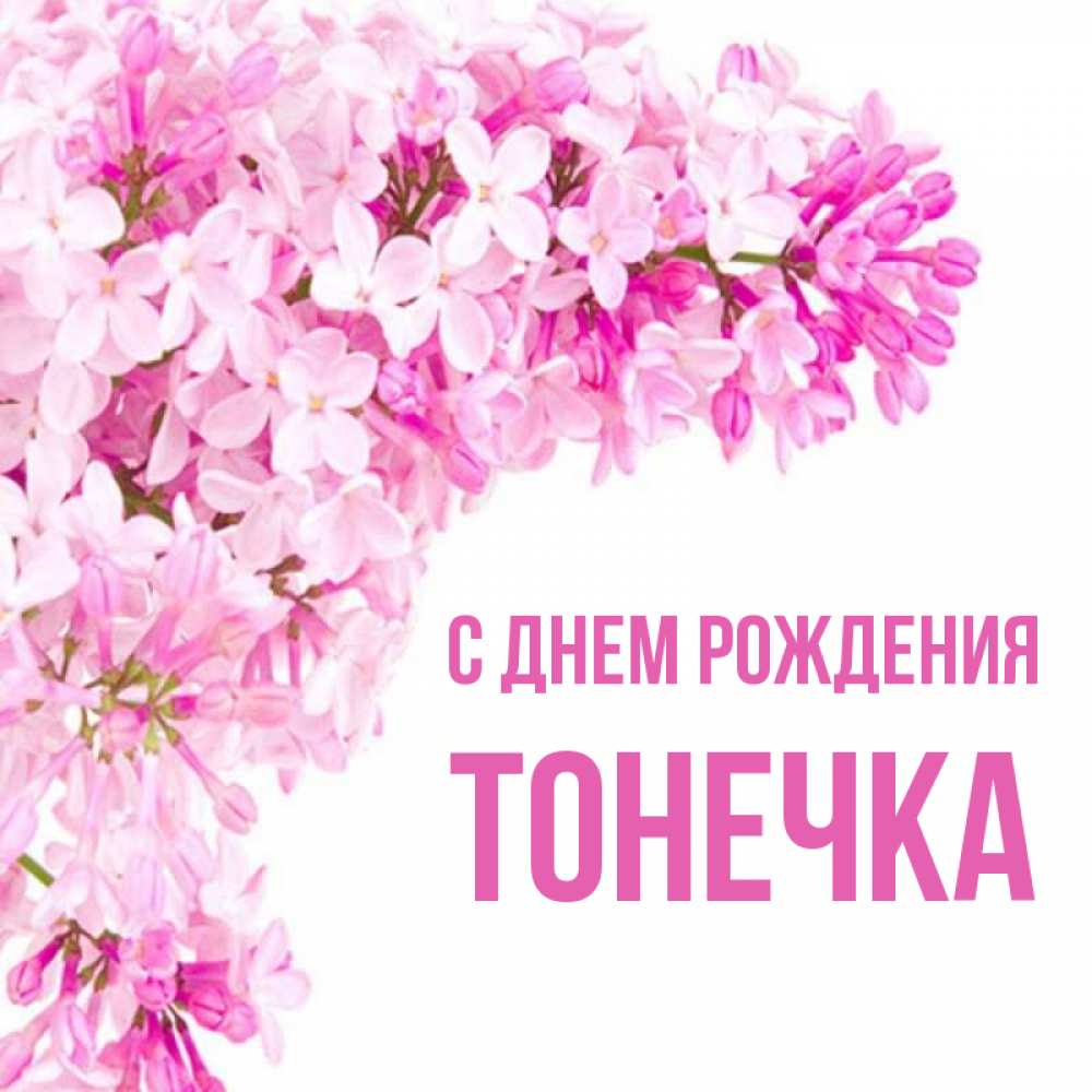 С днем рождения тонечка картинки
